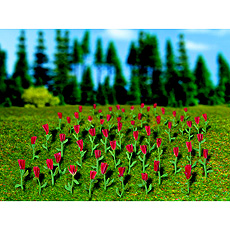 Red Tulips (HO scale),철도모형,기차모형,열차모형,트레인몰