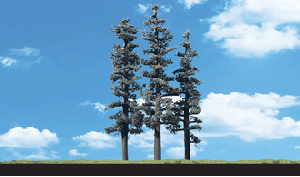 [Woodland scenics] JWTR3561 침엽수 Standing Timber (10cm~ 15cm),철도모형,기차모형,열차모형,트레인몰