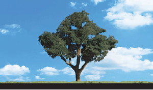 [Woodland scenics] JWTR3517 나무 Cool Shade (15cm~18cm),철도모형,기차모형,열차모형,트레인몰