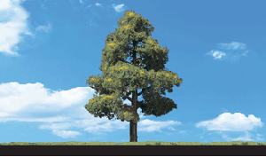 [Woodland scenics] JWTR3502 나무 Sun Kissed (3cm~5cm),철도모형,기차모형,열차모형,트레인몰