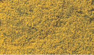[Woodland scenics] JWF176 나무잎/꽃-노랑색 (covers 100 sq. in.) ,철도모형,기차모형,열차모형,트레인몰